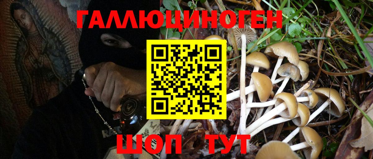 Всеволожск  Галлюциногенные грибы Magic Shrooms  Вход с VPN 